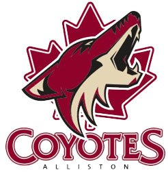 Alliston Coyotes 2013-Pres Primary Logo iron on transfers for T-shirts